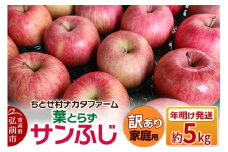 【26年1月～発送】りんご 葉とらずサンふじ 約5kg 家庭用 訳あり ちとせ村【レビューキャンペーン】