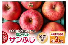 【26年1月～発送】りんご 葉とらずサンふじ 約3kg 贈答用 ちとせ村【レビューキャンペーン】