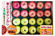【26年1月～発送】りんご 葉とらずサンふじ ＆ 王林 詰め合わせ 約5kg 家庭用 訳あり ちとせ村【レビューキャンペーン】
