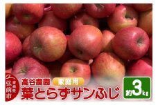 【25年11月～発送】りんご 高谷農園【家庭用】葉とらずサンふじ 約3kg【レビューキャンペーン】