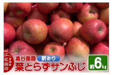 【25年11月～発送】りんご 高谷農園【訳あり】葉とらずサンふじ 約6kg【レビューキャンペーン】