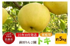 【25年10月発送】りんご【家庭用】トキ 約5kg  前田りんご園【レビューキャンペーン】