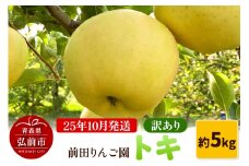 【25年10月発送】りんご【訳あり】トキ 約5kg  前田りんご園【レビューキャンペーン】