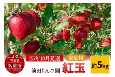 【25年10月発送】りんご【家庭用】紅玉 約5kg  前田りんご園【レビューキャンペーン】