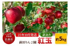 【25年10月発送】りんご【訳あり】紅玉 約5kg  前田りんご園【レビューキャンペーン】