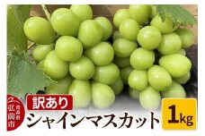 【25年9月～発送】 【訳あり】 シャインマスカット1kg【先行受付】 ぶどう フルーツ 果物 ブドウ 葡萄 グレープ くだもの 産地直送【レビューキャンペーン】