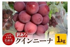 【25年9月～発送】 【訳あり】 クインニーナ 1kg【先行受付】 ぶどう フルーツ 果物 ブドウ 葡萄 グレープ くだもの 産地直送【レビューキャンペーン】