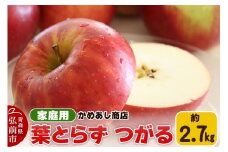 【25年9月発送】りんご 葉とらず つがる【家庭用】約2.7kg ゴールド農園【レビューキャンペーン】