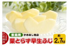 【25年10月発送】りんご 葉とらず 早生ふじ【家庭用】約2.7kg ゴールド農園【レビューキャンペーン】