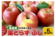 【25年11月発送】りんご 葉とらず ふじ【家庭用】約5kg ゴールド農園【レビューキャンペーン】