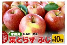 【25年11月発送】りんご 葉とらず ふじ【家庭用】約10kg ゴールド農園【レビューキャンペーン】