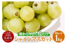 【25年9月～発送】 【訳あり】 房から外した粒だけシャインマスカット1kg（500g×2パック）【先行受付】 ぶどう フルーツ 果物 ブドウ 葡萄 グレープ くだもの 産地直送【レビューキャンペーン】