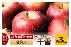 【25年10月～発送】りんご  千雪 約3kg カワムラファーム 贈答用【先行受付】 青森 果物 フルーツ 林檎 リンゴ くだもの 予約【レビューキャンペーン】