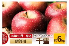 【25年10月～発送】りんご  千雪 約6kg カワムラファーム 贈答用【先行受付】 青森 果物 フルーツ 林檎 リンゴ くだもの 予約【レビューキャンペーン】