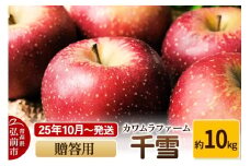 【25年10月～発送】りんご  千雪 約10kg カワムラファーム 贈答用【先行受付】 青森 果物 フルーツ 林檎 リンゴ くだもの 予約【レビューキャンペーン】
