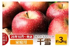 【25年10月～発送】りんご  千雪 約3kg カワムラファーム 家庭用【先行受付】 青森 果物 フルーツ 林檎 リンゴ くだもの 予約【レビューキャンペーン】