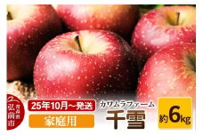 【25年10月～発送】りんご  千雪 約6kg カワムラファーム 家庭用【先行受付】 青森 果物 フルーツ 林檎 リンゴ くだもの 予約【レビューキャンペーン】