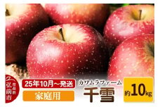 【25年10月～発送】りんご  千雪 約10kg カワムラファーム 家庭用【先行受付】 青森 果物 フルーツ 林檎 リンゴ くだもの 予約【レビューキャンペーン】