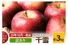 【25年10月～発送】りんご  千雪 約3kg カワムラファーム 訳あり【先行受付】 青森 果物 フルーツ 林檎 リンゴ くだもの 予約【レビューキャンペーン】