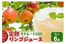 【25年11月発送】完熟リンゴジュース 1L 6本入 ちとせ村ナカタファーム Amazing Apple【レビューキャンペーン】
