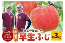 【25年10月～発送】りんご 權之丞farm 早生ふじ 家庭用 約3kg（6～10玉程度）【レビューキャンペーン】
