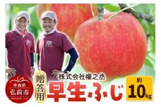 【25年10月～発送】りんご 權之丞farm 早生ふじ 贈答用 約10kg（24～40玉程度）【レビューキャンペーン】