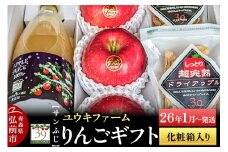 【26年1月～発送】 りんごギフト【サンふじ×3個、りんごチップス55g、ドライアップル80g、りんごジュース1L】化粧箱入【レビューキャンペーン】