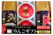 【26年1月～発送】 りんごギフト【サンふじ 3個、りんごジュース1L×2本】化粧箱入【レビューキャンペーン】