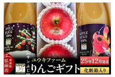 【25年12月発送】 りんごギフト【サンふじ 3個、りんごジュース1L×2本】化粧箱入【レビューキャンペーン】