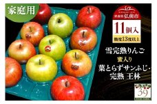 【25年12月発送】りんご 【 数量限定 】雪完熟りんご 糖度13度以上 家庭用 蜜入り 葉とらずサンふじ ・ 完熟 王林 11個入り【レビューキャンペーン】