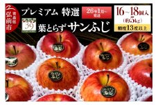 【26年1月～発送】りんご 【 数量限定 】糖度13度以上 「特選」プレミアム 葉とらずサンふじ 約 5kg 16～18個【レビューキャンペーン】