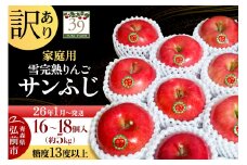 【26年1月～発送】りんご 【 数量限定 】訳あり 雪完熟 家庭用 糖度13度以上 サンふじ 約 5kg 16～18個入り【レビューキャンペーン】