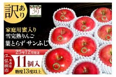 【25年12月発送】りんご 【 数量限定 】訳あり 雪完熟 家庭用 蜜入り 糖度13度以上 葉取らず サンふじ 11個入り【レビューキャンペーン】