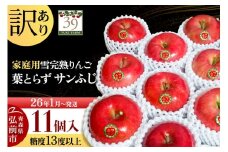 【26年1月～発送】りんご 【 数量限定 】訳あり 雪完熟 家庭用 糖度13度以上 葉取らず サンふじ 11個入り【レビューキャンペーン】
