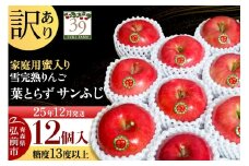 【25年12月発送】りんご 【 数量限定 】訳あり 雪完熟 家庭用 蜜入り 糖度13度以上 葉取らず サンふじ 12個入り【レビューキャンペーン】