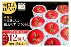 【26年1月～発送】りんご 【 数量限定 】訳あり 雪完熟 家庭用 糖度13度以上 葉取らず サンふじ 12個入り【レビューキャンペーン】