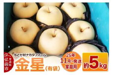 【25年11月発送】りんご【家庭用】金星（有袋）約5kg【レビューキャンペーン】