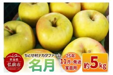 【25年11月発送】りんご【家庭用】名月 約5kg【レビューキャンペーン】