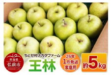 【26年1月発送】りんご【家庭用】王林 約5kg【レビューキャンペーン】