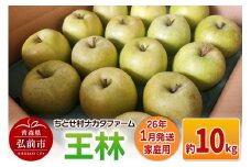 【26年1月発送】りんご【家庭用】王林 約10kg【レビューキャンペーン】