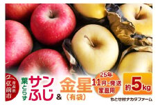 【25年11月発送】りんご【家庭用】葉取らずサンふじと金星（有袋）約5kg【レビューキャンペーン】