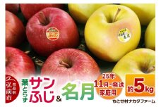 【25年11月発送】りんご【家庭用】葉取らずサンふじと名月 約5kg【レビューキャンペーン】