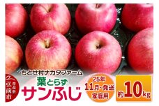 【25年11月発送】りんご【家庭用】葉取らずサンふじ 約10kg【レビューキャンペーン】