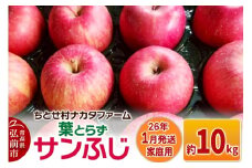 【26年1月発送】りんご【家庭用】葉取らずサンふじ 約10kg【レビューキャンペーン】