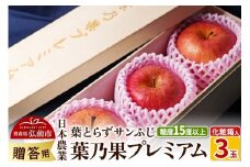 【25年12月発送】りんご 蜜入り 糖度15度以上 葉乃果プレミアム 3玉 贈答用 （葉とらずサンふじ）化粧箱入り【レビューキャンペーン】