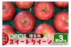 【25年10月発送】りんご 希少！スイートクイーン 約3kg【贈答用】somaringo farm【レビューキャンペーン】