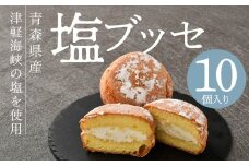 塩ブッセ 10個入り