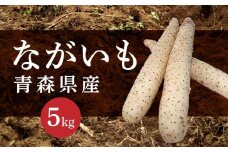 長芋 5kg ながいも 野菜