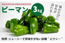 【青森県特別栽培】ピーマン 3kg ピクシー 【8月上旬～10月前半発送】