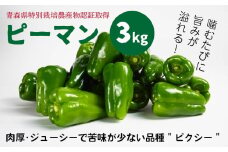 【青森県特別栽培】ピーマン 3kg ピクシー 【8月上旬～10月前半発送】